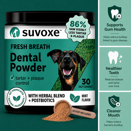 Suvoxe Dental Powder
