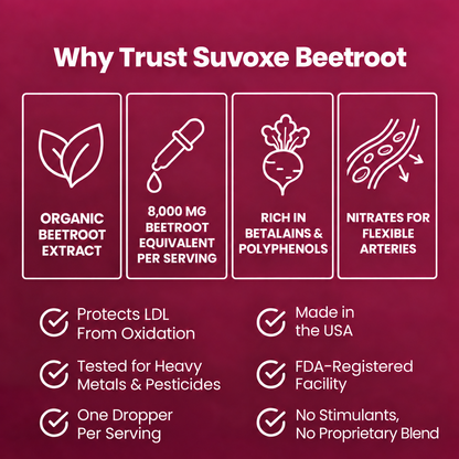 Suvoxe Beetroot extract