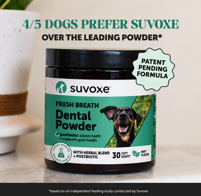Suvoxe Dental Powder